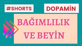 Bağımlılık ve Dopamin / Bağımlılık ve Beyin