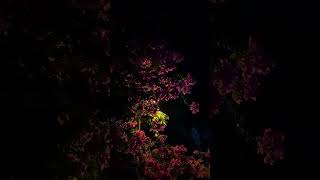 Download lagu SO7 Hingga Ujung Waktu mp3