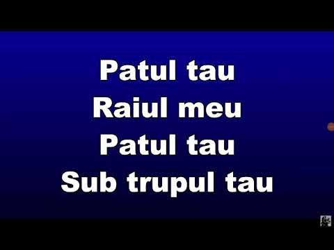 Liviu Teodorescu,Shift,Super ED-Patul Tau (Versuri/Lyrics)