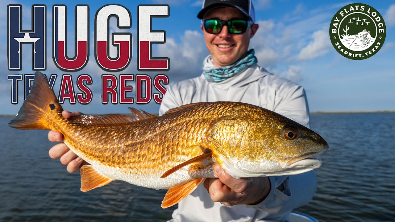 Bay Flats Lodge - Video