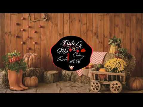 Tuổi gì mà chẳng thích lì xì -| bích phương ft bình gold | Đen | Lyric Video