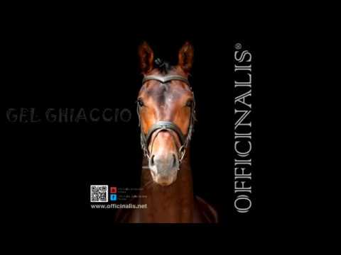 Lavorare il ginocchio il video giunto Comprime sale di osteocondrosi