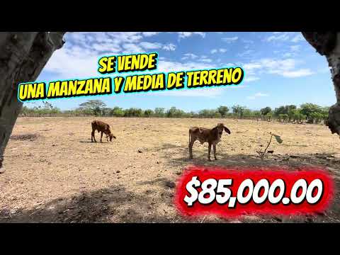 Se Vende Terreno Plano de  Manzana y Media un Usulután San Marcos Lempa 