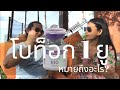 เมโสแฟต ยี่ห้อไหนดี