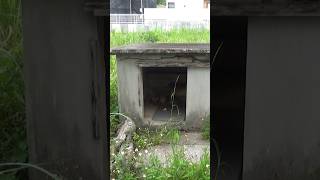 点々と建つコンクリートの小さな建物　沖縄戦で一家全滅した家跡をたどる #沖縄戦 #太平洋戦争 #糸満市 #shorts