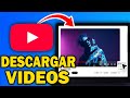Cómo Descargar Videos De YouTube Gratis Y Fácil En PC Y Móvil