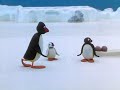 Pingu S02e18 Pingu Cannot Lose
