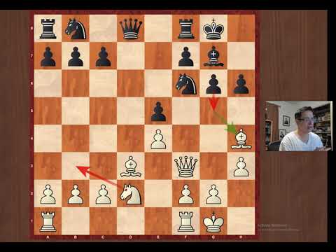 Yasser Seirawan destroyed by Michael Rohde Brilliancy Pirc Modern