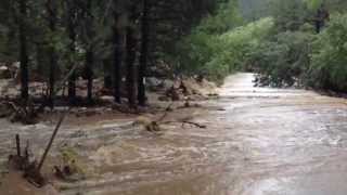 preview picture of video 'Left Hand Canyon flood video 3'