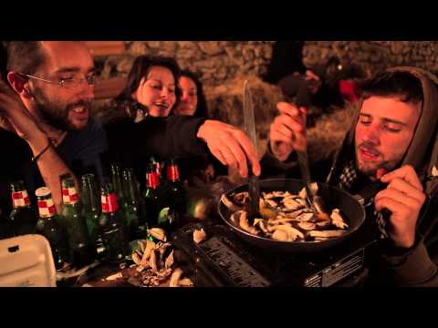 Mad€ in France - Des Punks à Chiens