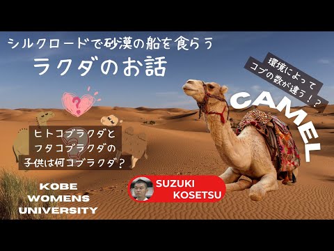 日本語日本文学科 シルクロードで砂漠の船を食らう　ラクダのお話【東洋史】