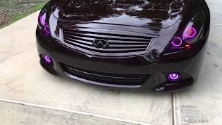 CUSTOM INFINITI G37 - BAGGED, PAINTED, HALOS, HEADLIGHTS
