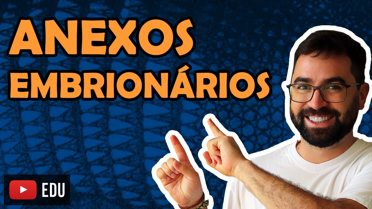 Anexos Embrionários - Aula 05 - Módulo VI: Zoologia | Prof. Guilherme