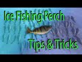 Ice Fishing for Deep Water Perch (Tips and Tricks)