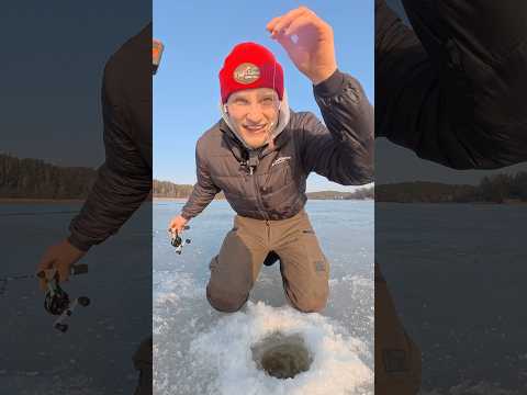 Puolison kanssa ei kannata lyödä vetoa…