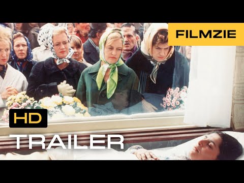 Trailers The Northerners