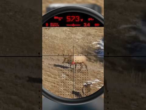 Burris Eliminator III Ballistic Laserscope - OpticsPlanet.com Product in Focus