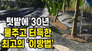 텃밭에 30년간 물주고 터득한 최고의 물주기 방법