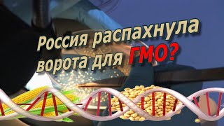 Зачем Россия распахнула ворота для ГМО? / @Аркадий Мамонтов