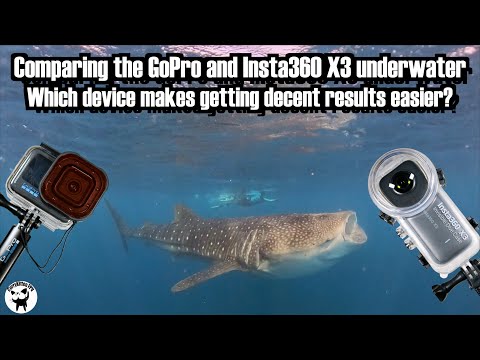 What's best underwater: The GoPro or the Insta360 X3?  My results and conclusions
