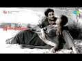 Neela Vanam Oh Little Flower Song