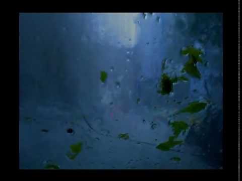 " کوچه شمرون "