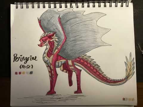 Meet Perie!! (Sky ice hybrid) :D let me know what you think of her!