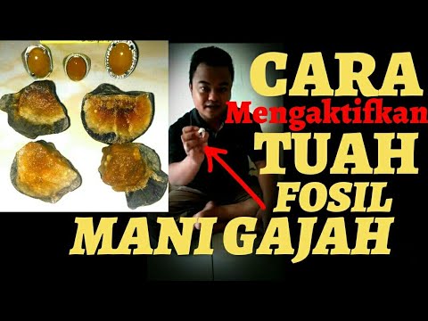 Produk meningkatkan ukuran penis Bagaimana meningkatkan penis melalui kargo