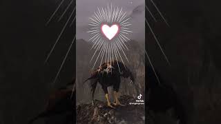 Download lagu story wa psht terbaru 2023 short ayam jago mp3