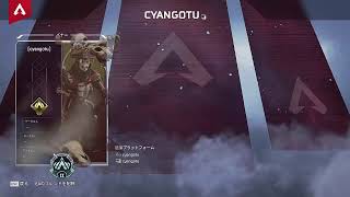 APEX プラ帯手伝い