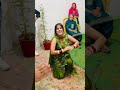 Coco Cola ️ Dance Hemachaudhary Trendingshorts Youtubeshort Wedding Masti Trending Trend