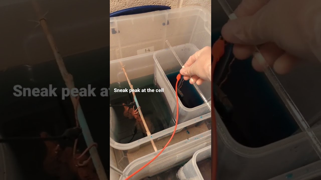 Electrolysis cell gold bearing anode slimes