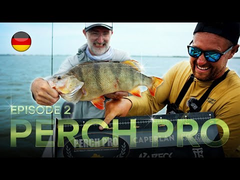 PERCH PRO 11 - Episode 2 (Deutsche version)