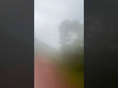 Situação da Estrada do Distrito do Lourenço_ município de Calcoene, noroeste do Amapá.