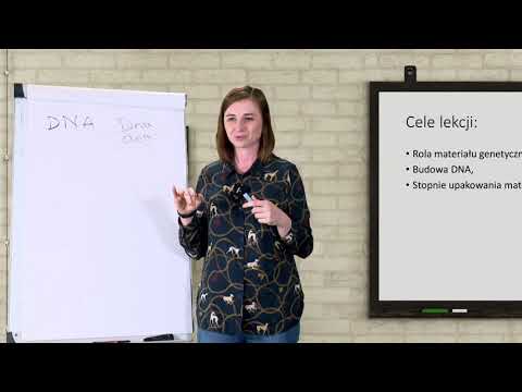 Biologia - klasy SP. Budowa DNA