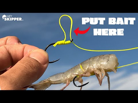 STOP Losing BAIT w/ This KNOT! (Egg Loop Knot Fishing Rig)