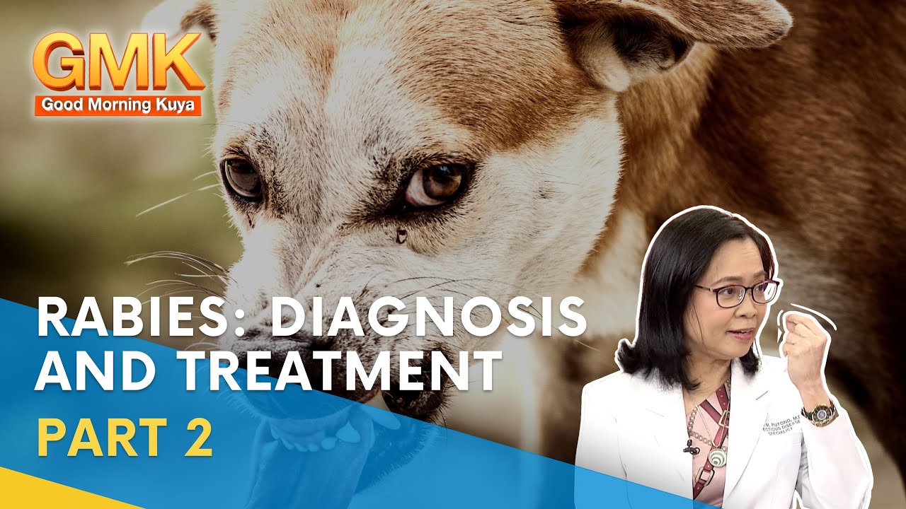 Rabies: Diagnosis and Treatment (Part 2) | Usapang Pangkalusugan