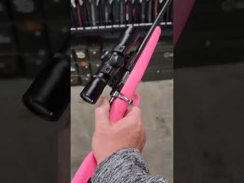 Crickett Rifle, Everyone’s Favorite Small .22 Rifle