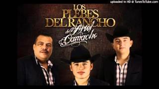 Kikil Caro - Los Pleves Del Rancho De Ariel Camacho (2016ArielCamachoP'S)