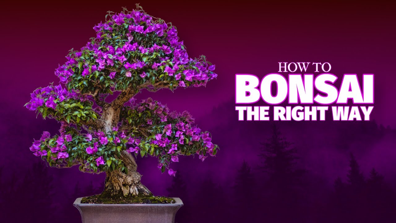 Youtube Thumbnail Tutorial