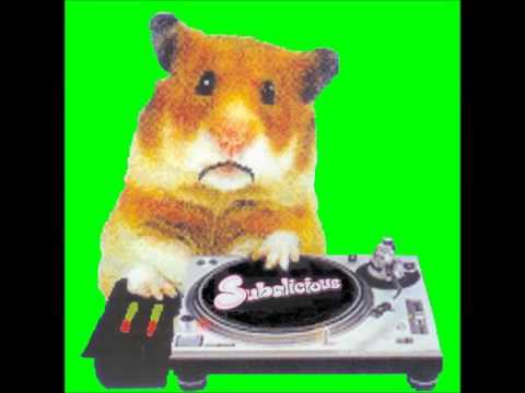 Distortionz vs.  Enzyme  - Hard Drug Abuse