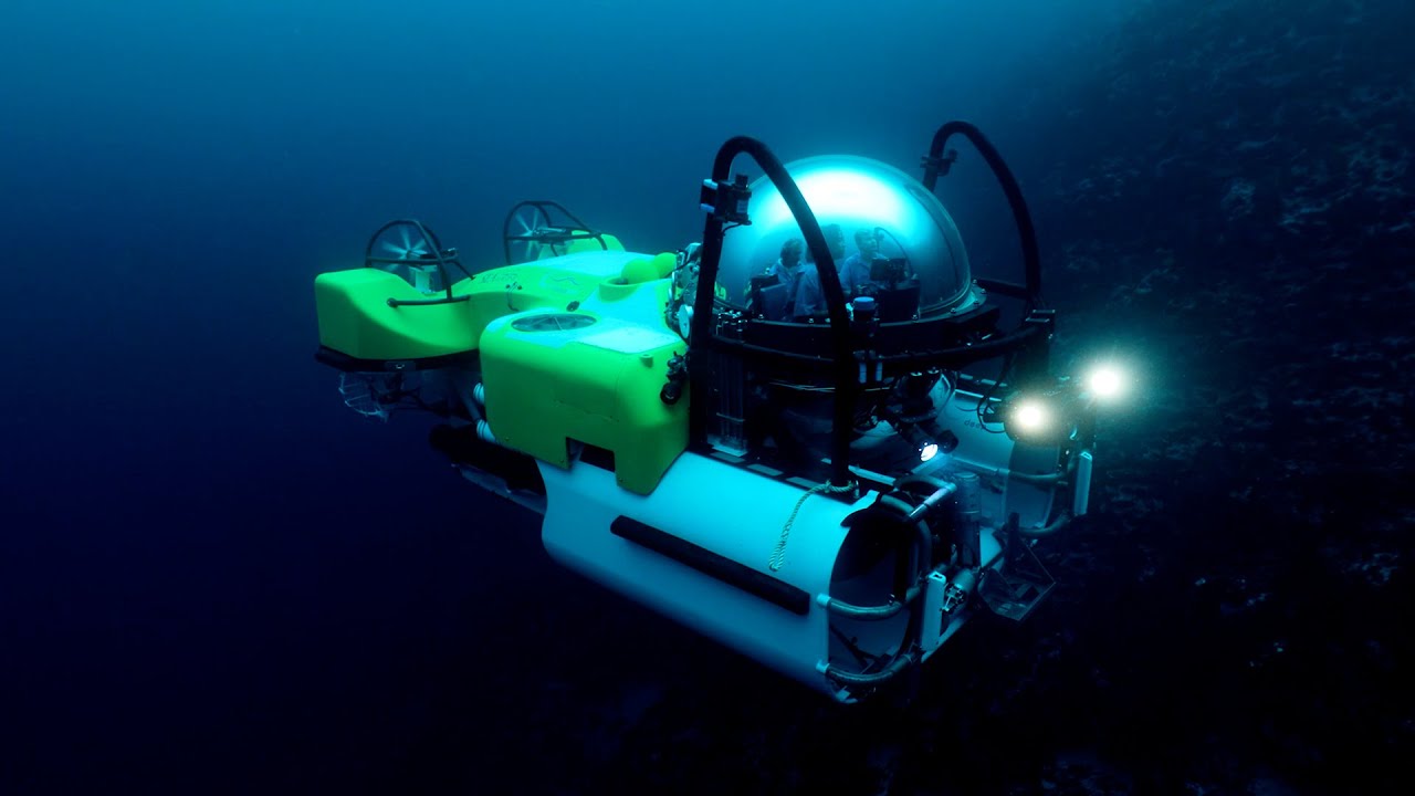 Charles Darwin Foundation Uncovers the Deep-Sea Wonders of the ETP | Bezos Earth Fund