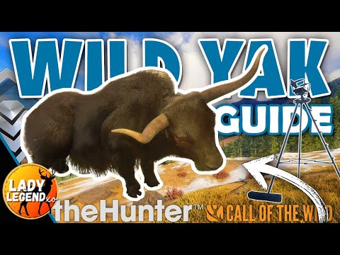 WILD YAK Grind GUIDE for Sundarpatan!!! - Call of the Wild