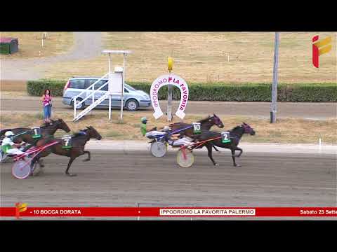 I Corsa del 23 Settembre 2023 - 5 Anni ed oltre - Metri 1600