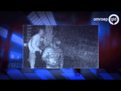 Dossier GLD - Opsporingsblok 7 februari 2013