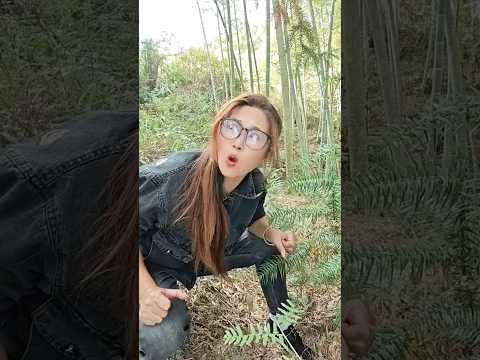 YouTube · WONG KALONGAN — Siap-siap ngakak tanpa dosa! 😂 Video lucu ini bikin hari-harimu lebih ceria!