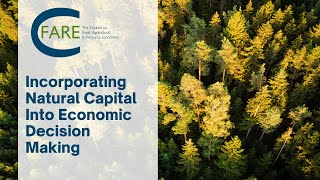 Incorporating Natural Capital Into Economic Decision Making
