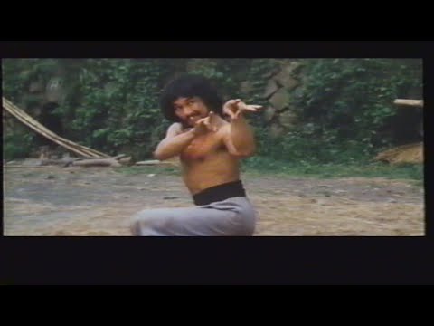 秘法睡拳（睡拳怪招　Sleeping Fist）