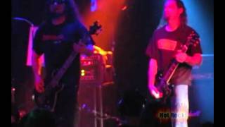 Hippie Speedball "Synodic"