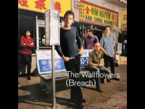 Some Flowers Bloom Dead video